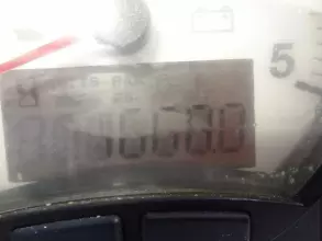 Thumbnail von Leopard 50 Believe