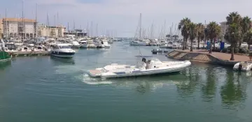 Thumbnail von Sacs 45 Gran Turismo