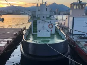 Thumbnail von Cantiere Navale Pellegrino Rimorchiatore