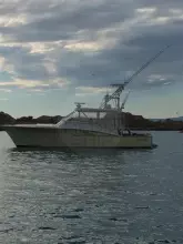 Thumbnail von Ocean Tech Bimarine 40