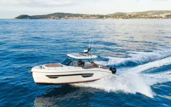 Thumbnail von Oryx 379