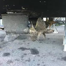 Thumbnail von Innovazione E Progetti Alena 48