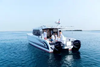 Thumbnail von SilverCat 40 LUX