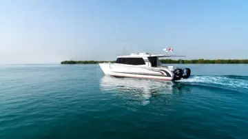 Thumbnail von SilverCat 40 LUX