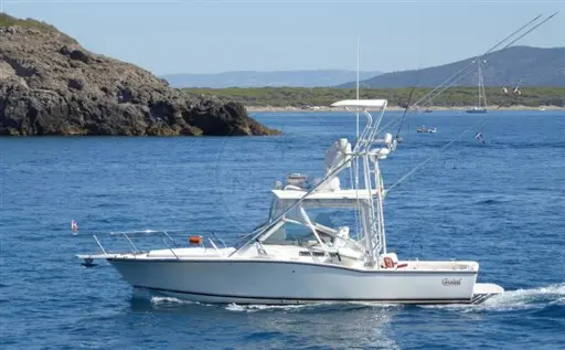 Carolina Usa 28 Classic