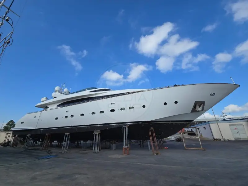 Thumbnail von Maiora 31 DP