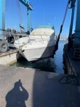 Thumbnail von Raffaelli Typhoon