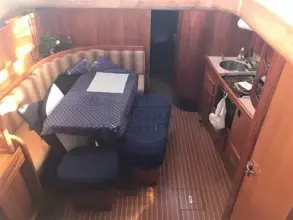 Thumbnail von Delphia 40