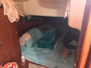 Thumbnail von Delphia 40