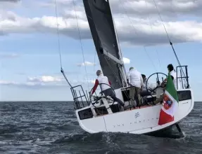 Thumbnail von Eleva THE FORTYTWO