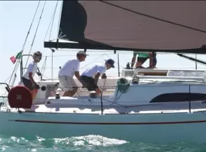 Thumbnail von Cossutti 31