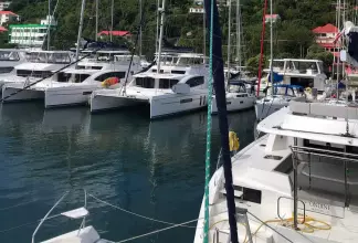 Thumbnail von Leopard 50 Caroleena