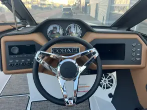 Thumbnail von Cobalt CS22