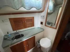 Thumbnail von Alibi 44 NECESSITY