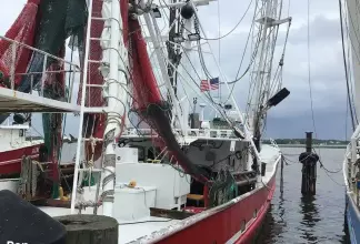 Thumbnail von Rodriguez Boat Builders 81