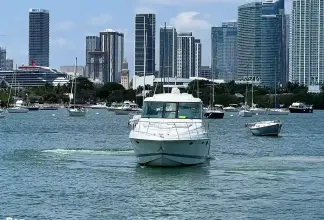 Thumbnail von Formula 45