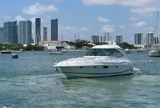 Thumbnail von Formula 45