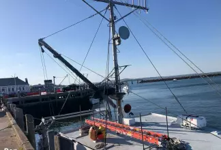 Thumbnail von Atkinson Novi