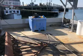 Thumbnail von Atkinson Novi