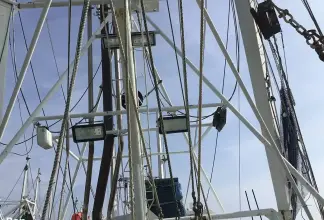 Thumbnail von Rodriguez Boat Builders 81