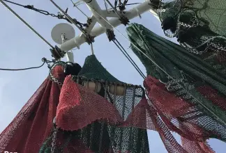 Thumbnail von Rodriguez Boat Builders 81