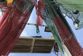 Thumbnail von Rodriguez Boat Builders 81