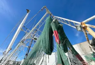 Thumbnail von Commercial boats Shrimp 82 IQF