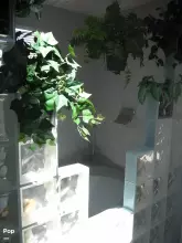 Thumbnail von Custom 55' Motor Yacht