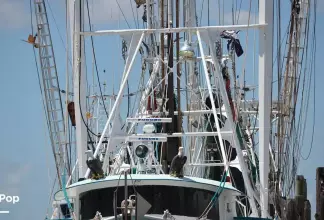 Thumbnail von Steel Trawler 70' Freezer