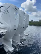 Thumbnail von Pursuit S 378