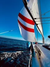 Thumbnail von Beneteau Oceanis 55 Freedom