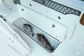 Thumbnail von Wellcraft Fisherman 302