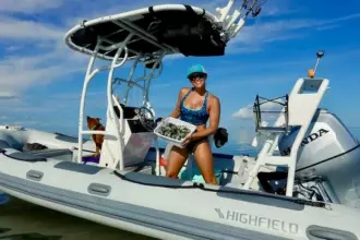 Thumbnail von Highfield Patrol 540