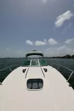 Thumbnail von Sea Ray 330 Sundancer  ANTANI