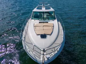 Thumbnail von Sea Ray 500 Sundancer