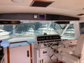 Thumbnail von Bertram 58 K Bear