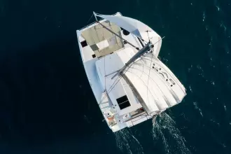 Thumbnail von Bali Catsmart New Order