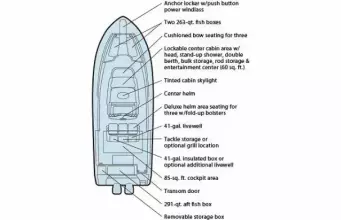 Thumbnail von Grady White 366 Canyon