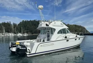 Thumbnail von Glacier 3490 Flybridge Power Cat OCELOT