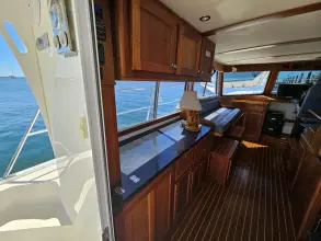 Thumbnail von Maine Cat Power Cat 47 Audrey Louisa