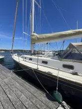 Thumbnail von Tartan 4100 Elm