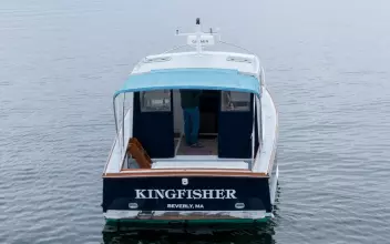 Thumbnail von Wilbur 34 Kingfisher