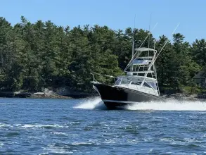 Thumbnail von Black Watch 34 Fly SKYFALL