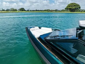 Thumbnail von Wallytender43X GREEN EYES