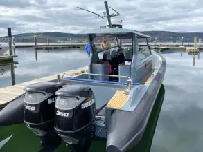 Thumbnail von Unknown STORMBIRD