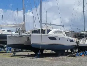 Thumbnail von Leopard 44 Kitten Caboodle