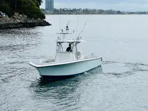 Thumbnail von Seavee 39