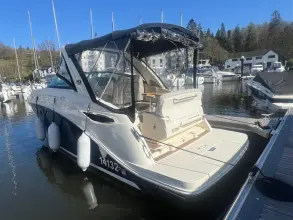 Thumbnail von Sea Ray 265 Sundancer