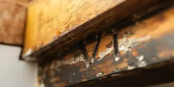 Thumbnail von Dutch Barge 71ft Nooitgedacht