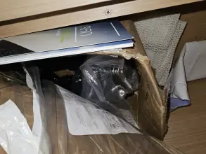 Thumbnail von Elan 350 Performance ELAN TIK